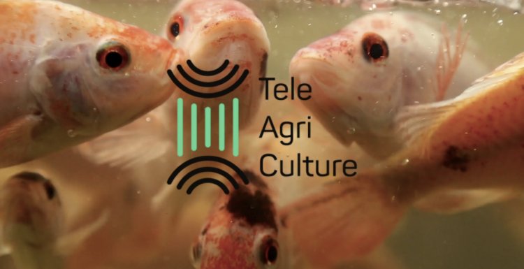 «Circular Food Production: a Home Aquaponics Kit» von TeleAgriCulture