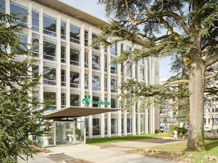 Aussenansicht des Haupteingangs des «Le Cèdre» in Lausanne. Die helle Rasterfassade des Vaudoise-Hauptsitzes wird von den mächtigen Ästen einer Libanon-Zeder eingerahmt, die im Vordergrund des sonnigen Parks steht. Über dem gläsernen Eingangsbereich ist das grüne Logo der Vaudoise Versicherungen an der Fassade angebracht.