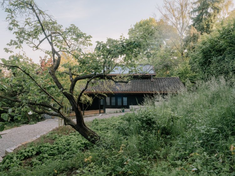 Weitwinkelaufnahme eines dunklen Holzhauses mit Ziegeldach, das von einem grossen Baum im Vordergrund und hohem, wildem Gras umgeben ist. Ein Kiesweg führt zum Haus, im Hintergrund stehen dichtes Grün und Bäume unter hellem Himmel.