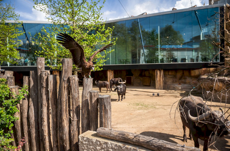 Zoo Antwerpen Tiergehege