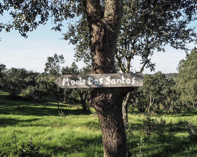 Region Alentejo bei Estremoz