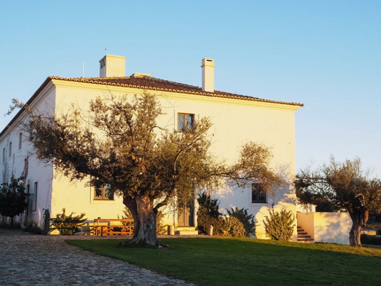 Hotel São Lourenço do Barrocal