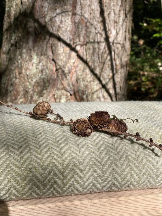 Detail eines Sitzkissens aus Wollstoff auf einer Holzbank, mit Naturmaterialien im Vordergrund.