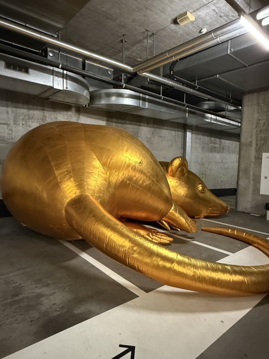 Eine Maus