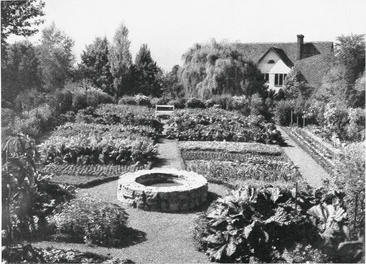 Gemüsegarten in der Stadt Zürich. In der Mitte ein kleines Wasserbecken.