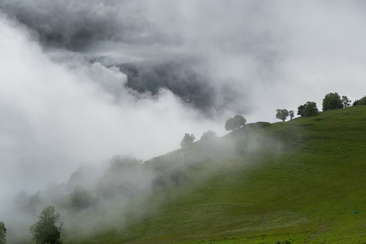 Nebellandschaft über einem grünen Berghang.