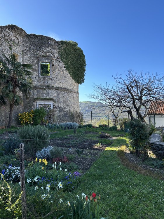 Blick auf einen kleinen Garten am Fusse einer Burchsteinmauer.