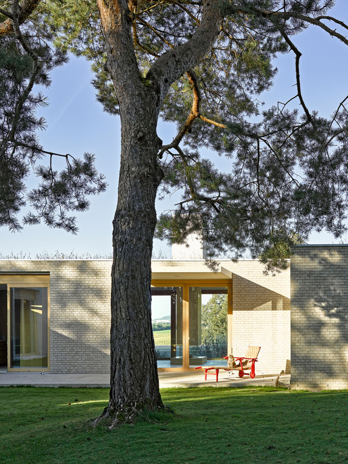 Haus mit flachem Dach und Baum im Vordergrund