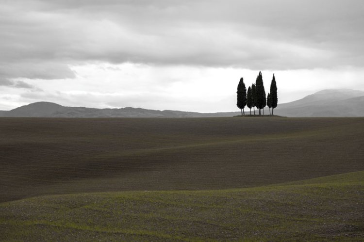 Typischer Anblick in der Landschaft im Val d`Orcia