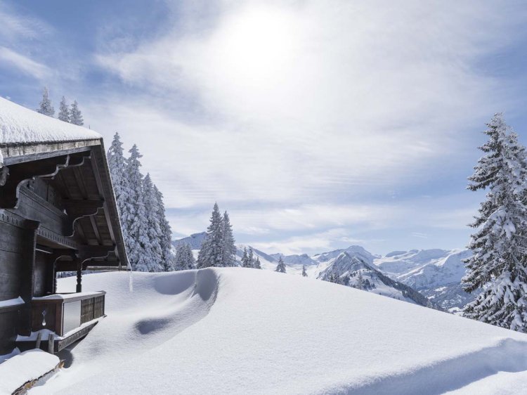 Das Foto eines verschneiten Piste.