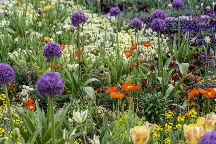 Bunt blühende Blumenbeete in den Gartenkabinetten des «Inzwischenlands».