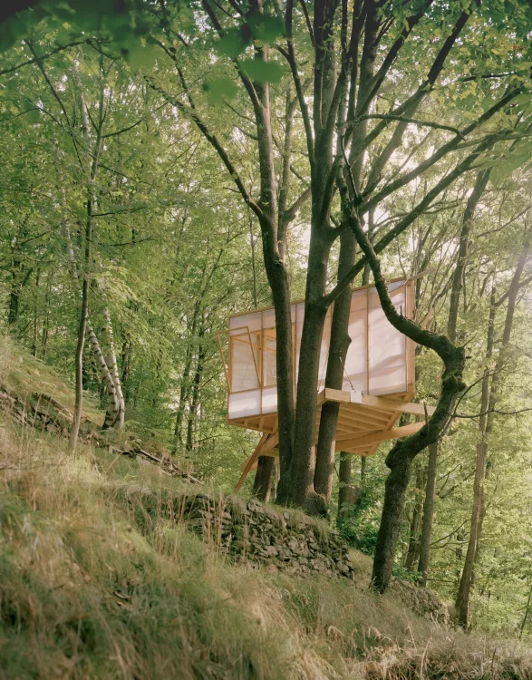 Ein kleines, dreieckiges Baumhaus aus hellem Polycarbonat, das zwischen schlanken Baumstämmen in luftiger Höhe über dem Waldboden schwebt.
